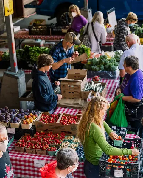 Farmer's market near Cape Smokey