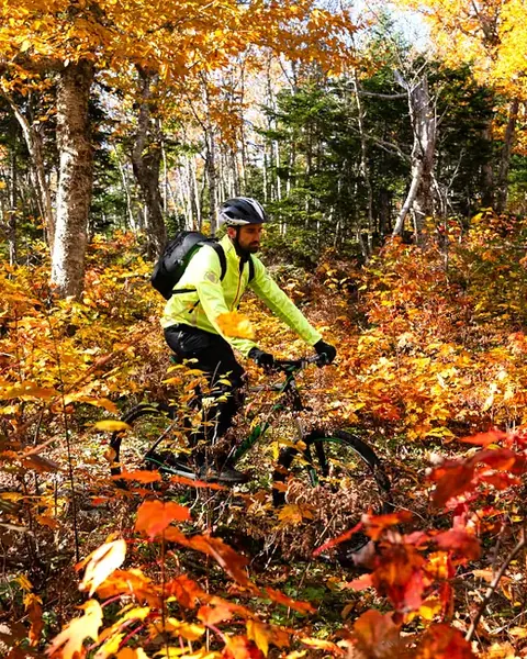 Mountain biking near Cape Smokey