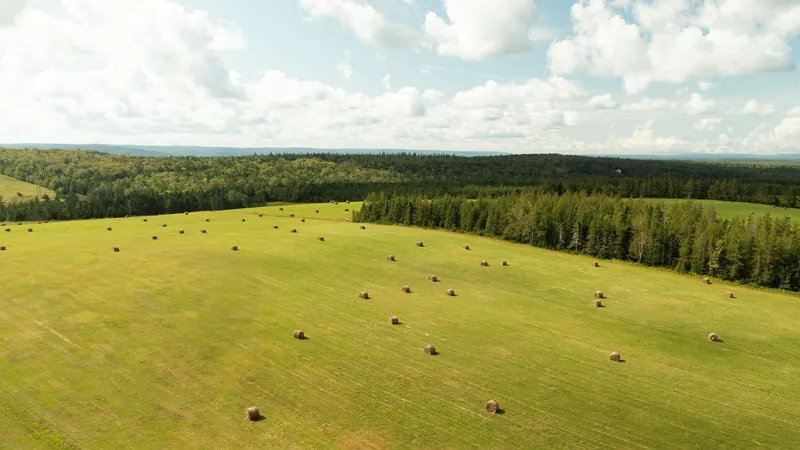 Aerial view of hay bales in a green field