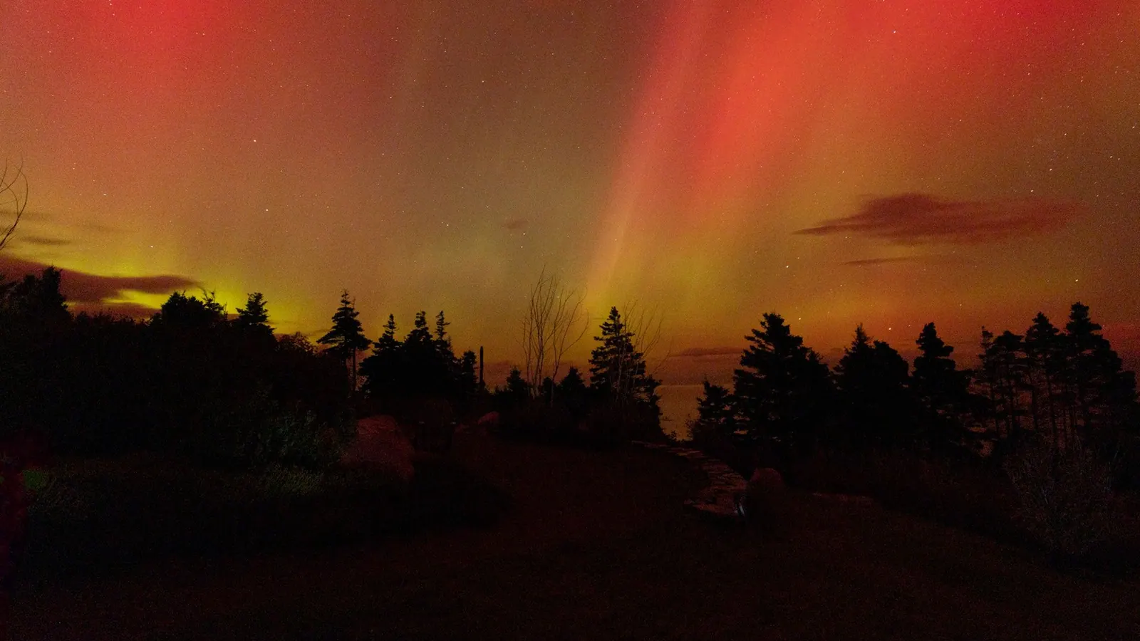 Northern lights glowing green above a dark forest and calm lake