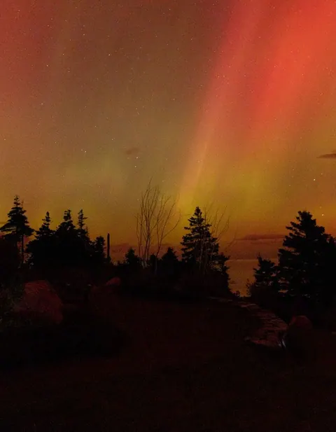 Northern lights glowing green above a dark forest and calm lake