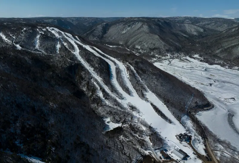 Aerial view of ski runs cut through the forest on Cape Smokey