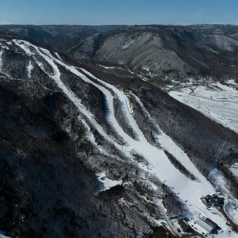 Aerial view of ski runs cut through the forest on Cape Smokey