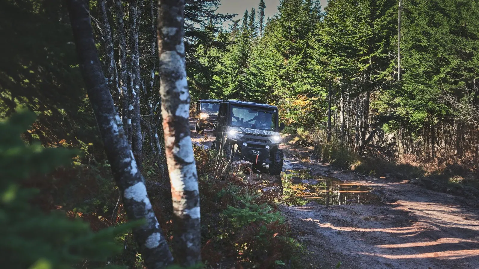Off-road vehicle on a muddy forest track